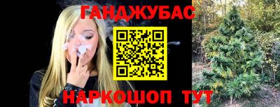 прущие грибы Комсомольск-на-Амуре