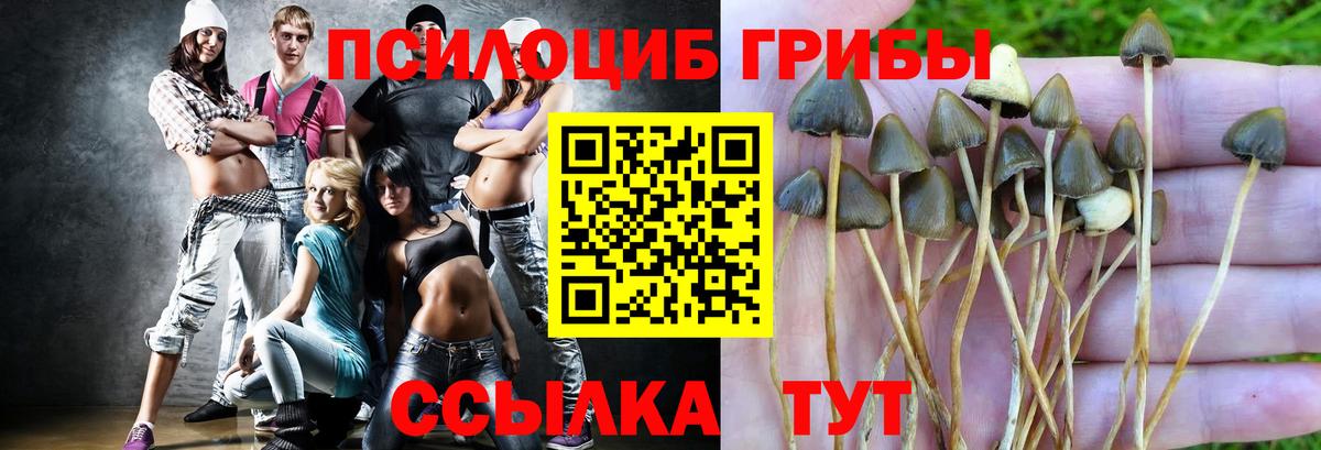 Псилоцибиновые грибы Magic Shrooms Карталы